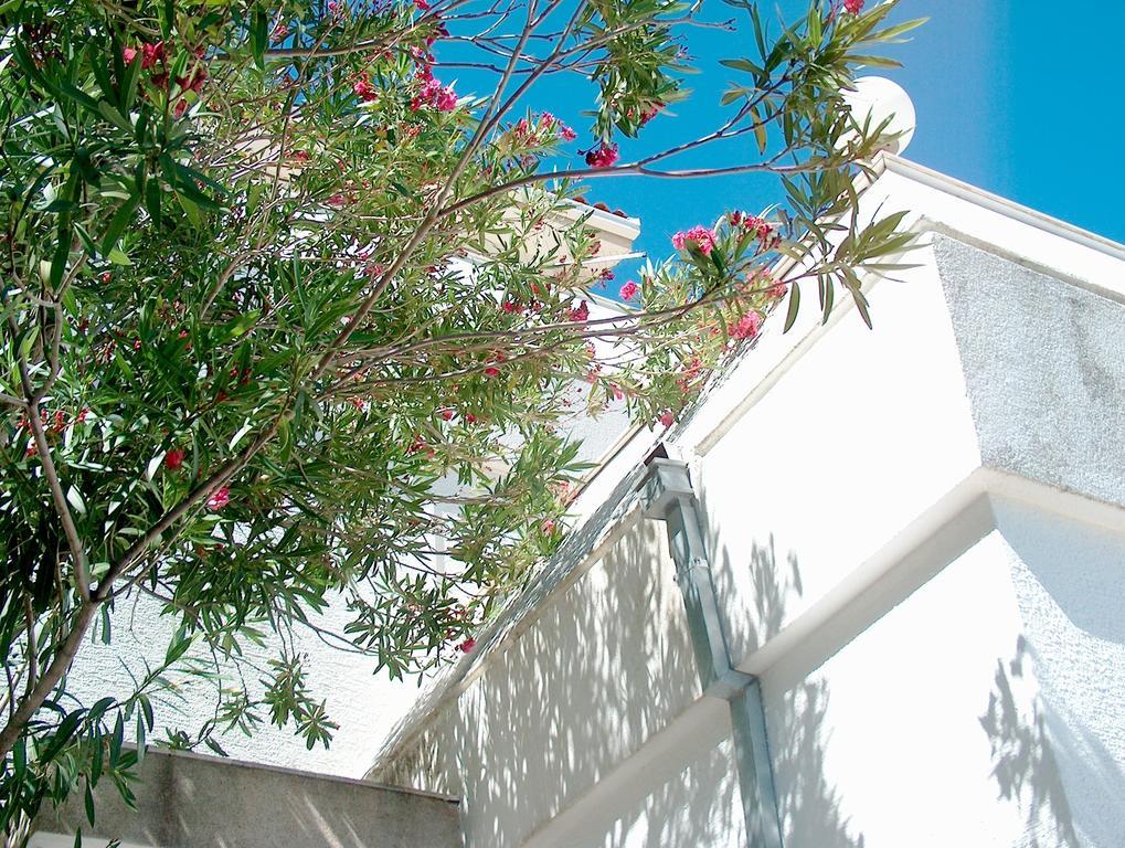 Villa Blanka Donji Okrug  Zimmer foto