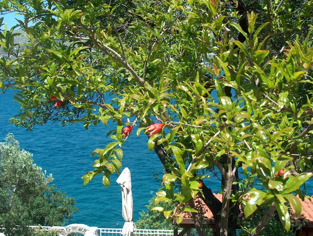 Villa Blanka Donji Okrug  Exterior foto